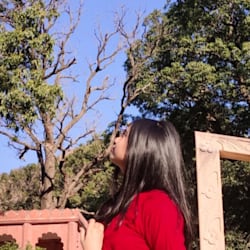 palak_025soni