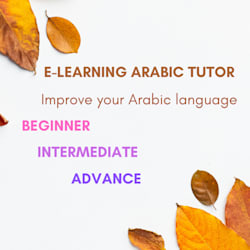 abushar31