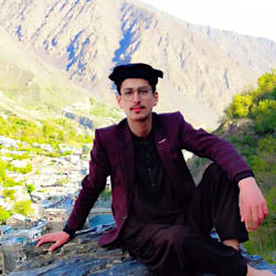 mirhamza814