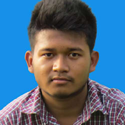 dvsumon