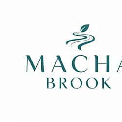 macha_brook