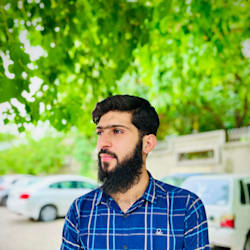 anasabbasmalik