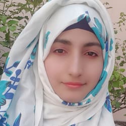 ezzashabier242