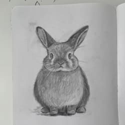 koyi_l