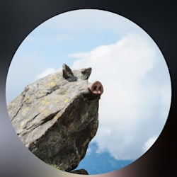 pigheadedpeak16