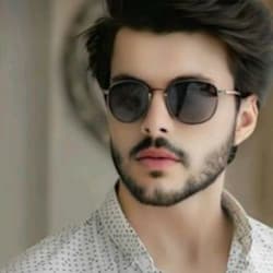 ghazanfar_12786