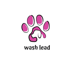 wash_lead