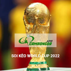 soikeowc68