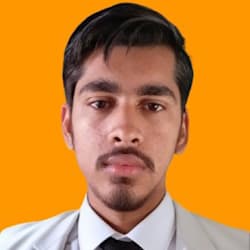 sulman_wp_devlp