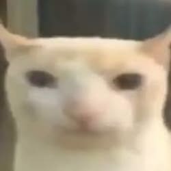 ericuh2