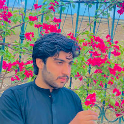 haroonjan786