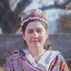 shehnazbaig801