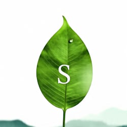 saadbatmi
