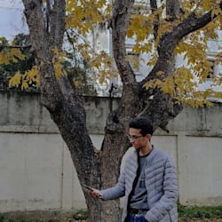louot_oth
