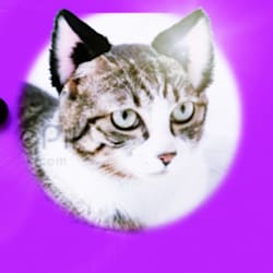 Fiverr profile picture for @salehhhhh