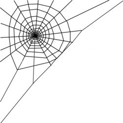 rajuuncle