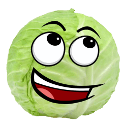 kupuss