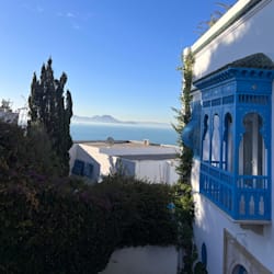 mouhibmrabet