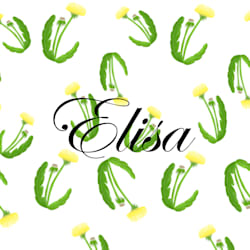 elisa_mirabela
