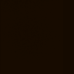 samer_elzayaad