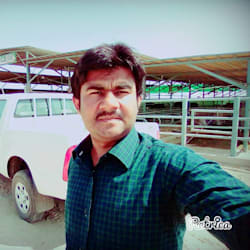 amirhanif464