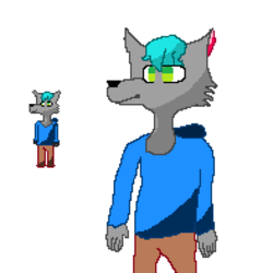 vuk_animation