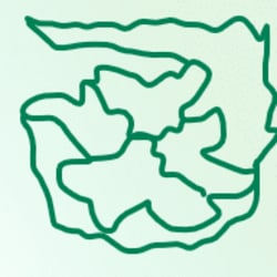 lecconn