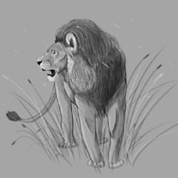 emkaydraws
