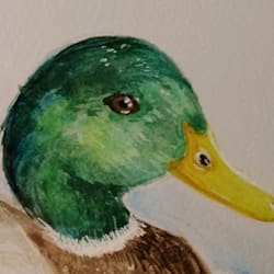 biggusduckus