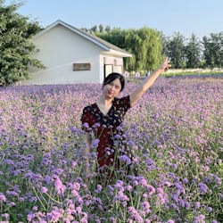 lilyecho1
