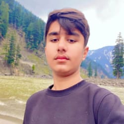 malikbaghoor