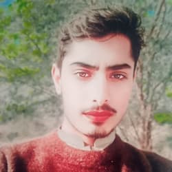 malikfiazkhokha
