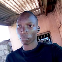 collinsososo