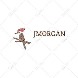 jmorgan245