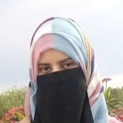 aliza_wordpress