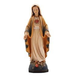 mercycastyco