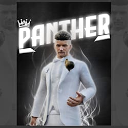 dmrpanther