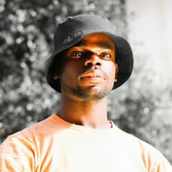 raydavins