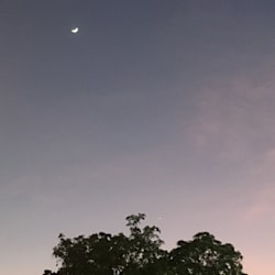 thutdara