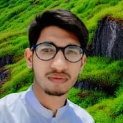 hanan220810