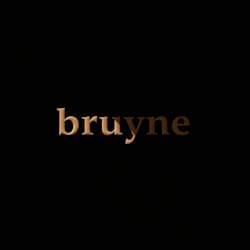 bruyne_
