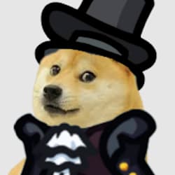 qfdoge