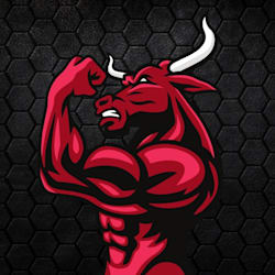 top_bull