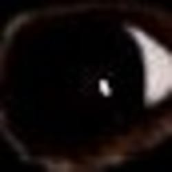 Fiverr profile picture for @ruining