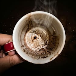 coffeeinsight