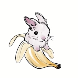 rowwolli