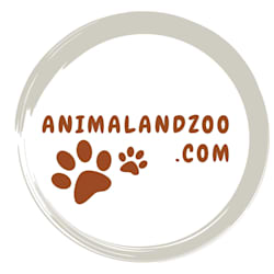 animalandzoocom