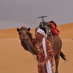 ali_ouh