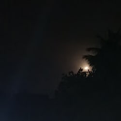 pasadigalgomuwa