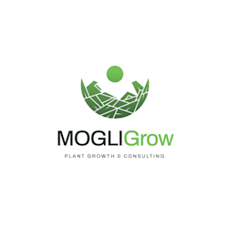 mogligrow2020
